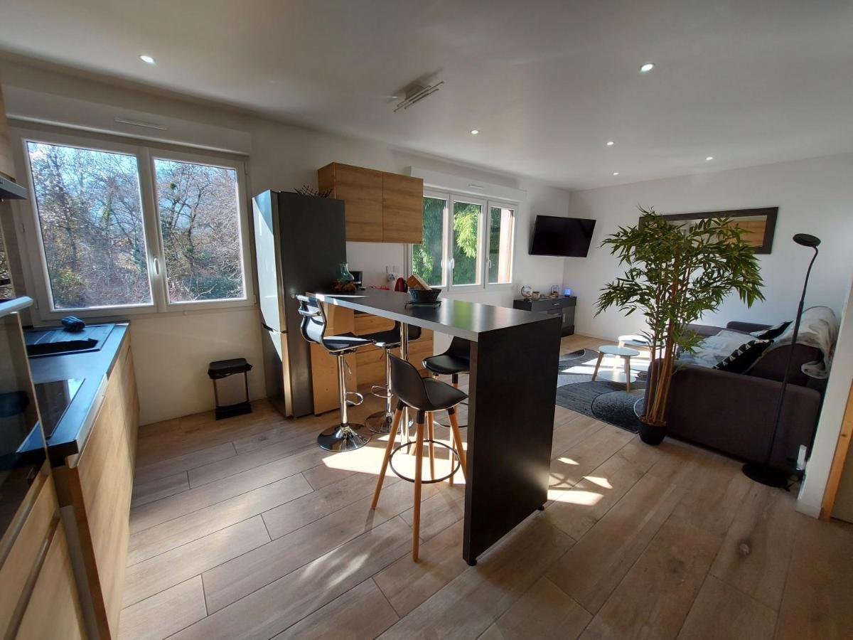 Superbe Appartement Au Centre De St Jorioz 圣若里奥 外观 照片